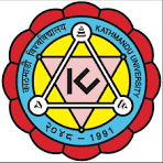 Ace Institute Logo