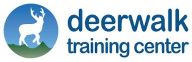 Ace Institute Logo