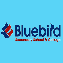 degree